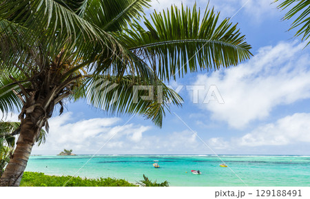 Tropical Beach View with Palm Trees and Crystal Clear Ocean Waters Tropical Beach View with Palm Trees and Crystal Clear Ocean Waters 129188491