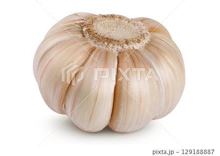 unpeeled whole garlic isolated on white background close up 129188887