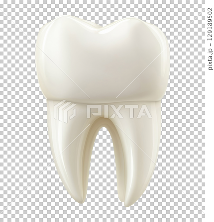 Tooth 129189502