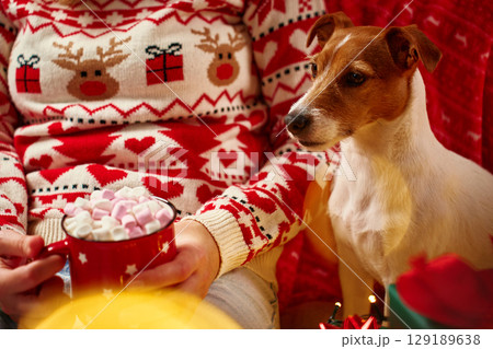 Woman wearing Christmas sweater holding mug of hot chocolate with marshmallows, her Jack Russell Terrier dog sitting near wrapped gifts and glowing lights. Cozy Christmas scene at home Woman wearing Christmas sweater holding mug of hot chocolate with marshmallows, her Jack Russell Terrier dog sitting near wrapped gifts and glowing lights. Cozy Christmas scene at home 129189638