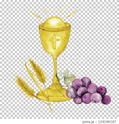 Watercolor illustartion with catholic religious symbols. Chalice, bunch of grapesand ears isolated on white background. For first communion, wedding, baprism greeting card, invitation 129190187