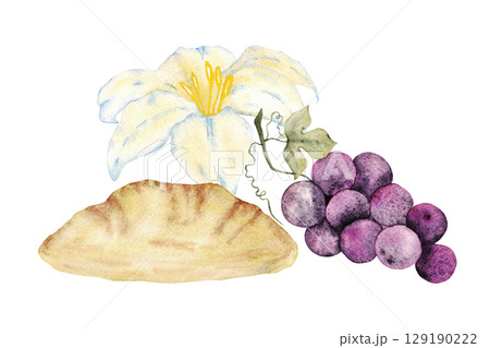 Religious symbols - bunch of grapes, bread and white lily. Watercolor ilustration. For first communion, wedding, baprism greeting card, invitation. Isolated on a white background. Hand drawn Religious symbols - bunch of grapes, bread and white lily. Watercolor ilustration. For first communion, wedding, baprism greeting card, invitation. Isolated on a white background. Hand drawn 129190222