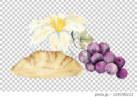 Religious symbols - bunch of grapes, bread and white lily. Watercolor ilustration. For first communion, wedding, baprism greeting card, invitation. Isolated on a white background. Hand drawn 129190222