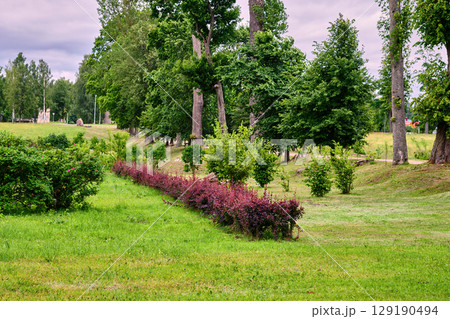 Lush greenery and vibrant shrubs line the pathway in a tranquil park during a cloudy afternoon Lush greenery and vibrant shrubs line the pathway in a tranquil park during a cloudy afternoon 129190494