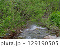 緑に包まれた山の小川 129190505