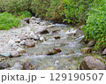 岩間を流れる清流 129190507