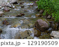 せせらぎの続く道 129190509