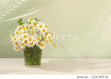 Still life with small chamomile flowers in vase on elegant modern background, summer product advertising banner, abstract floral arrangement, holiday greeting card with space for text 129190518
