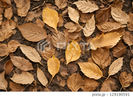 Dried leaf turned brown with natural aging.AI Generated 129190591