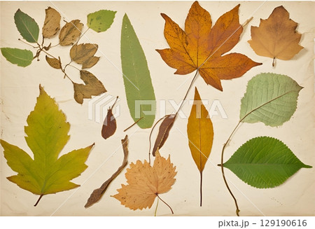 Dried leaf turned brown with natural aging.AI Generated 129190616