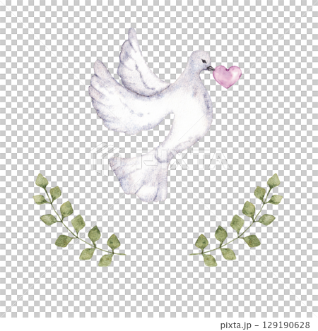 Flying dove holding a pink heart decorated with green branches. Hand drawn. Watercolor illustration. For first communion, baptism greeting cards, invitation, wedding card. Isolated 129190628