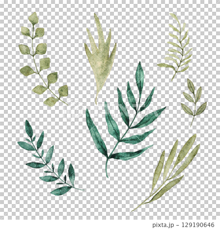 Watercolor set of branches with green leaves. Botanical elements. Hand drawn. Isolated on a white background. For first communion, birthday, wedding, baptism design 129190646