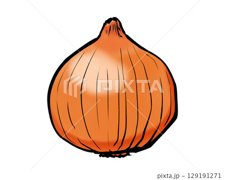 筆 タマネギ 野菜 シンプル 筆 タマネギ 野菜 シンプル 129191271