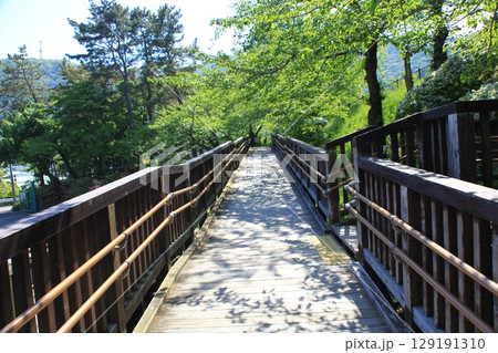 函館公園の風景_函館公園 函館公園の風景_函館公園 129191310