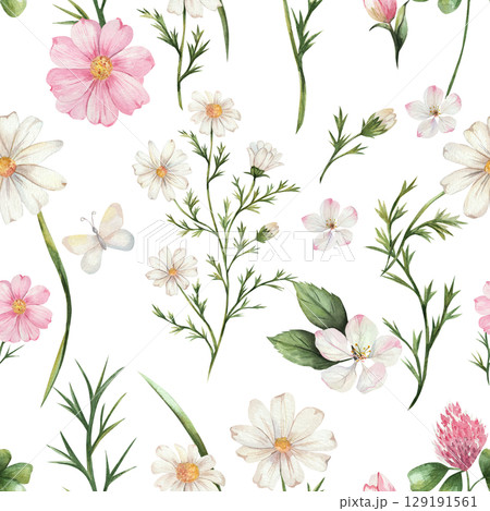 Seamless watercolor pattern of wildflowers. Chamomile, apple tree, cameo, clover. Composition of delicate flowers of white, pink and green. Isolated. Wedding, wallpapers, backgrounds 129191561