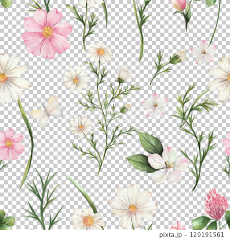 Seamless watercolor pattern of wildflowers. Chamomile, apple tree, cameo, clover. Composition of delicate flowers of white, pink and green. Isolated. Wedding, wallpapers, backgrounds 129191561
