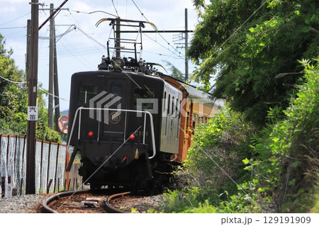 ノスタルジックな沿線をのんびりと走行する大井川鉄道EL急行列車_2025/7/20撮影 ノスタルジックな沿線をのんびりと走行する大井川鉄道EL急行列車_2025/7/20撮影 129191909
