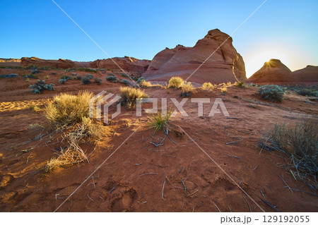 Red Rock Desert Sunrise with Sandy Foreground and Desert Plants 129192055