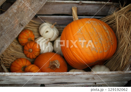 ハロウィンのイメージ カボチャ① ハロウィンのイメージ カボチャ① 129192062