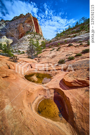 Desert Rock Pools and Sandstone Cliffs with Pine Trees Wide Angle Perspective Desert Rock Pools and Sandstone Cliffs with Pine Trees Wide Angle Perspective 129192115