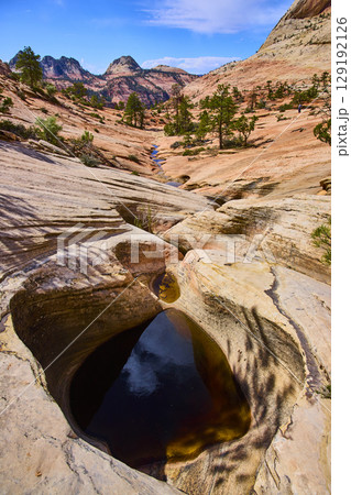 Sandstone Pothole Water Reflection and Desert Peaks Zion National Park Low Eye Sandstone Pothole Water Reflection and Desert Peaks Zion National Park Low Eye 129192126