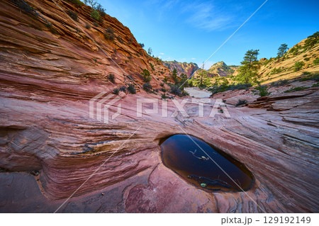 Red Sandstone Pools and Striated Rock Layers Zion National Park Ground Level View 129192149