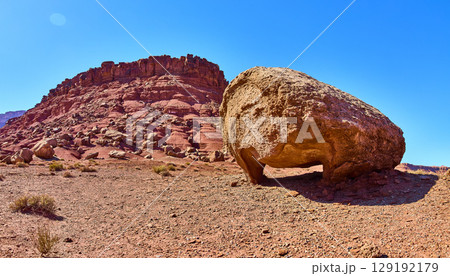 Balanced Boulder and Rugged Mesa in Desert Wilderness Eye Level Panorama 129192179