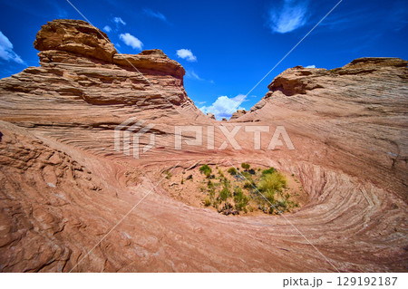 Red Sandstone Waves and Desert Oasis with Bright Blue Sky Low Eye Level 129192187