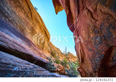 Red Rock Canyon Walls with Desert Vegetation and Sunlit Striations Low Upward 129192251