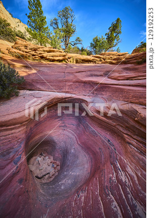 Eroded Sandstone Pothole and Layered Rocks with Desert Pines Low Angle View 129192253
