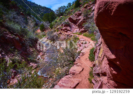 Red Rock Canyon Hiking Trail with Flowing Creek and Desert Vegetation Eye Level Red Rock Canyon Hiking Trail with Flowing Creek and Desert Vegetation Eye Level 129192259