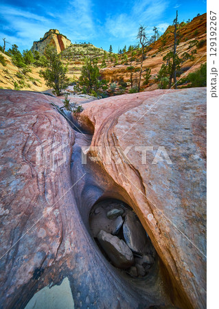Swirling Sandstone Erosion Desert Vegetation and Mesa Low Ground Perspective 129192267