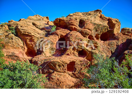 Red Rock Sandstone Caves and Desert Vegetation Low Upward Perspective 129192408