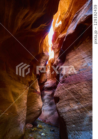Kanarra Falls Slot Canyon Sandstone Walls with Stream Motion Eye Level Kanarra Falls Slot Canyon Sandstone Walls with Stream Motion Eye Level 129192439