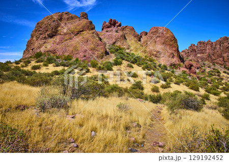 Desert Trail with Red Rock Formations and Grasses Low Eye Level Perspective 129192452