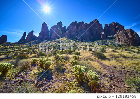 Superstition Mountains Sunlit Rock Formations and Cholla Cacti Low Upward View 129192459