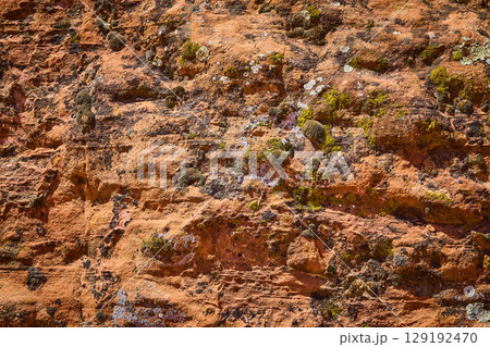 Rugged Desert Rock Face with Moss and Lichen Close Up Eye Level View 129192470