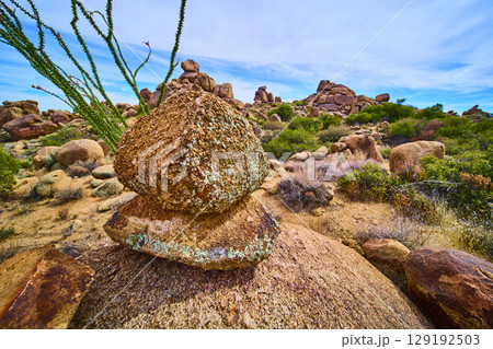 Desert Boulder Ocotillo and Cactus Low Ground Perspective 129192503