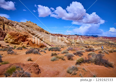 Vibrant Rock Formations and Desert Vegetation Valley of Fire Eye-Level View 129192533
