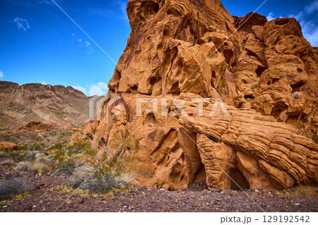 Red Rock Formations and Desert Vegetation in Nevada, Eye-Level View 129192542