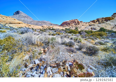 Red Rock Canyon Desert Vista with Mountain and Vegetation Eye Level View Red Rock Canyon Desert Vista with Mountain and Vegetation Eye Level View 129192581