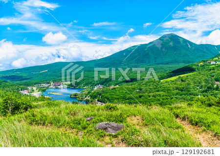 長野 白樺湖と蓼科山 129192681