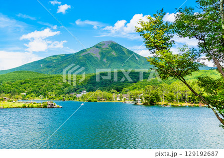長野 白樺湖と蓼科山 129192687