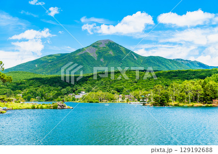 長野 白樺湖と蓼科山 129192688