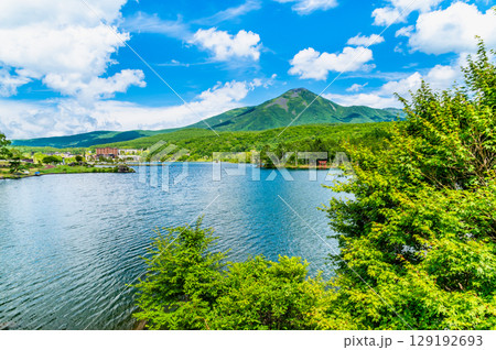 長野 白樺湖と蓼科山 129192693