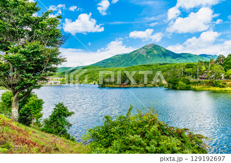 長野 白樺湖と蓼科山 129192697