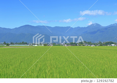夏の安曇野 田園と北アルプス 夏の安曇野 田園と北アルプス 129192782
