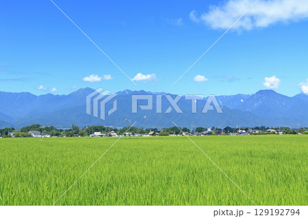 夏の安曇野 田園と北アルプス 夏の安曇野 田園と北アルプス 129192794