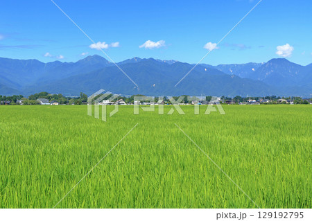 夏の安曇野 田園と北アルプス 夏の安曇野 田園と北アルプス 129192795