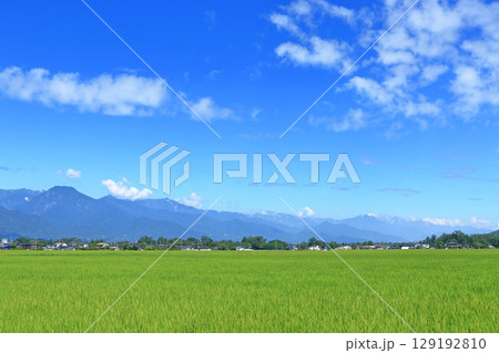 夏の安曇野　田園と北アルプス 129192810